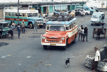 Bali bus